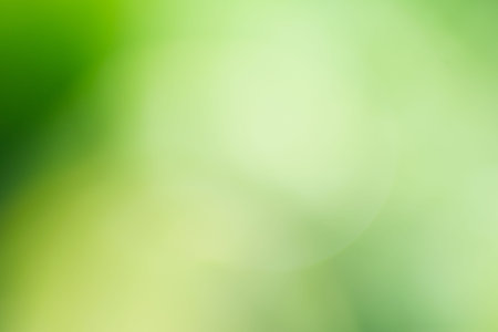 Natural green bokeh backgroundの写真素材