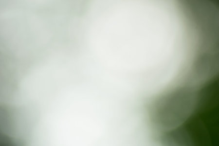 Natural green bokeh background