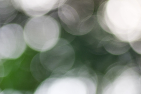 natural green bokeh backgroundの写真素材