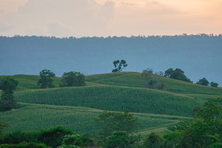 thai mountain view on Wang Nam Khiao,Nakhon Ratchasima,Thailandの写真素材