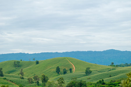 thai mountain view on Wang Nam Khiao,Nakhon Ratchasima,Thailand