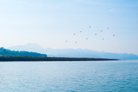 landscape aerial view of clear ocean water with mountain and birdsの写真素材