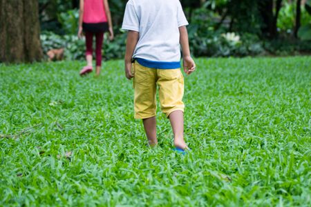 brother and sister walk around in the green parkの写真素材