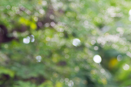 green bokeh backgroundの写真素材