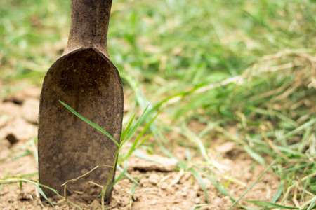 a spade near the grassの写真素材