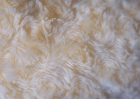 white cat flur background