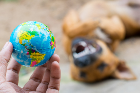 hand holding small globe with dog background,World Rabies Day conceptの写真素材