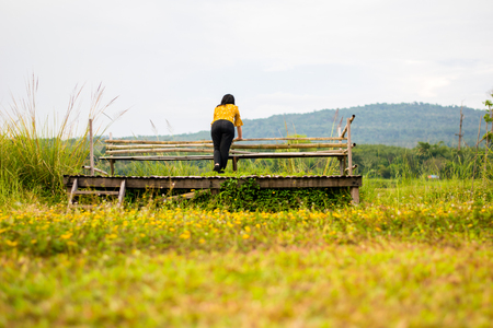 pretty girl on wooden chair in yellow flower fieldの写真素材