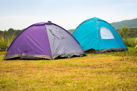 travel tent on yellow flower field and mountain viewの写真素材