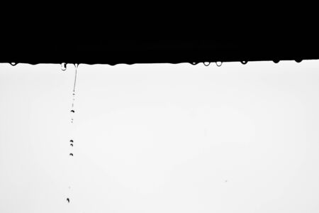 Water Dropの写真素材