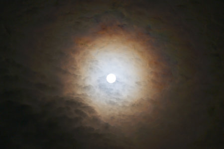 DarkMoon