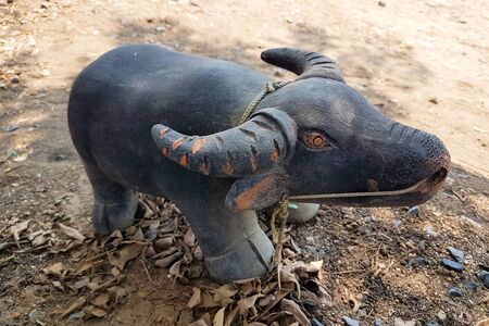 Clay buffalo dollの写真素材