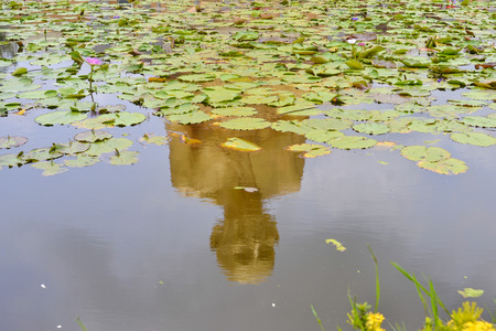 The Lotus pond reflects the shadow of Big Buddha statue in Thailandの写真素材