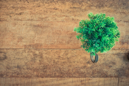 Natural Plants on Vintage Wood Background Texturedの写真素材