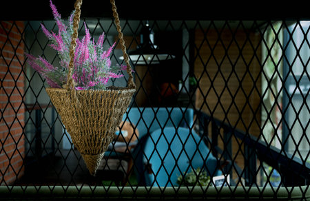 Flowers with Steel wire mesh fenceの写真素材