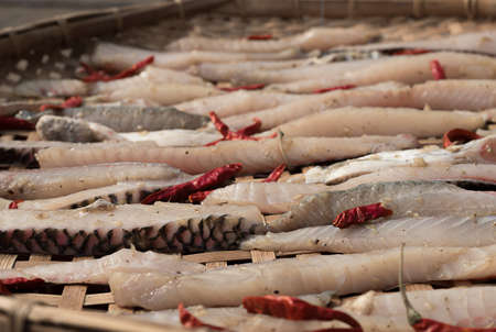 dried mango fish, tilapia fish with chiliの写真素材