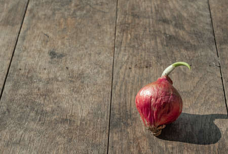 Shallots are placed on brown wooden table background. It's in the bottom right corner of the image and has a copy space in the top left corner. For adding ideas and creativityの写真素材