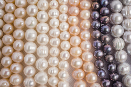 Pearls variety of gems Arrange beautifully on a white cloth.の写真素材