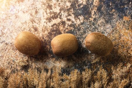 Close up Kiwi on Old Table Which prepared breakfast For the health of everyone in the family with Space for Text.の写真素材