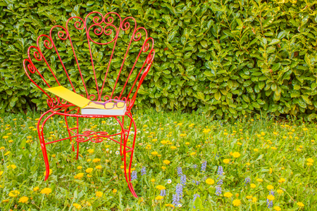 a flowered  garden of yellow and blue wild flowers dandelionの写真素材