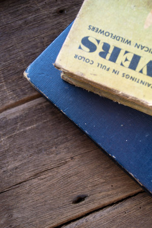 old books on wooden