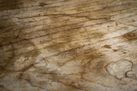 wood texture