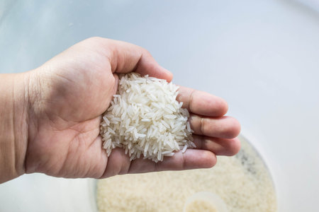rice in handの写真素材