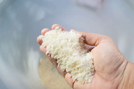 rice in handの写真素材
