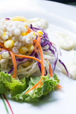 grains salad and creamの写真素材