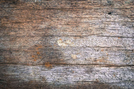 old woodの写真素材