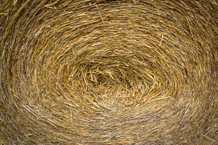 Dry straw backgroundの写真素材