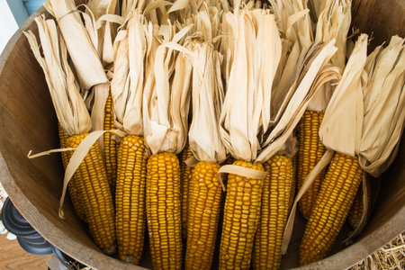Dried corn cobs