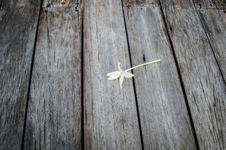 wood