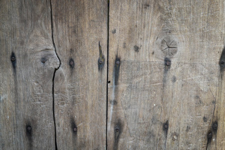 wood
