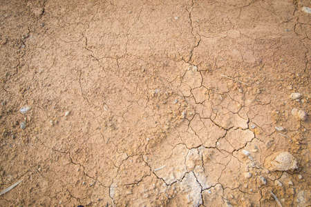 laterite soilの写真素材