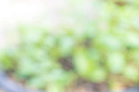 abstract backgroundの写真素材