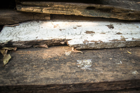 wood texture close up の写真素材