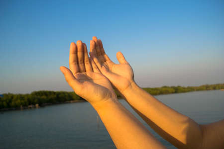 open handの写真素材