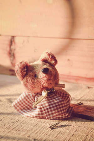 toy bear on  wooden backgroundの写真素材