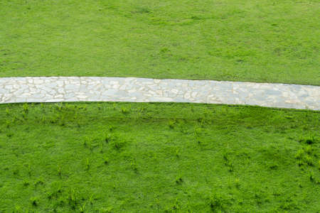 Walk on the fieldの写真素材