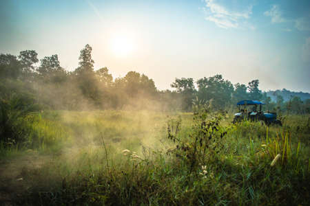 tractor mowing grassの写真素材