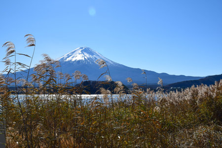 Fuji mountain in Japanの写真素材