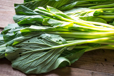 organic choy vegetableの写真素材