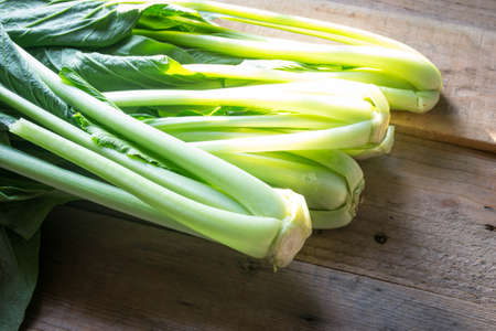 organic choy vegetableの写真素材