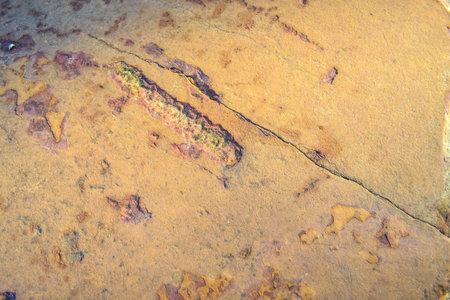 Surface Of The Stoneの写真素材