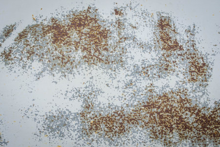 Rust on steelの写真素材