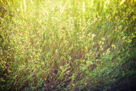 abstract backgroundの写真素材