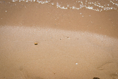 sand backgroundの写真素材