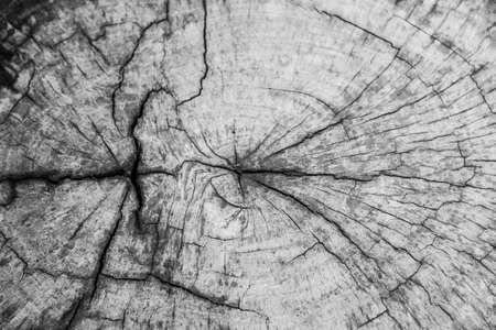 wood backgroundの写真素材