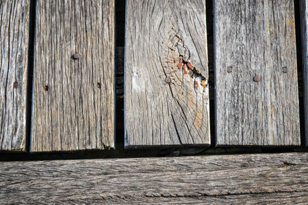 wood